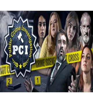 I Public Crime Investigation Steam Key GLOBAL